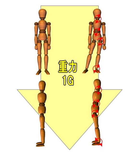 姿勢と曲げモーメント