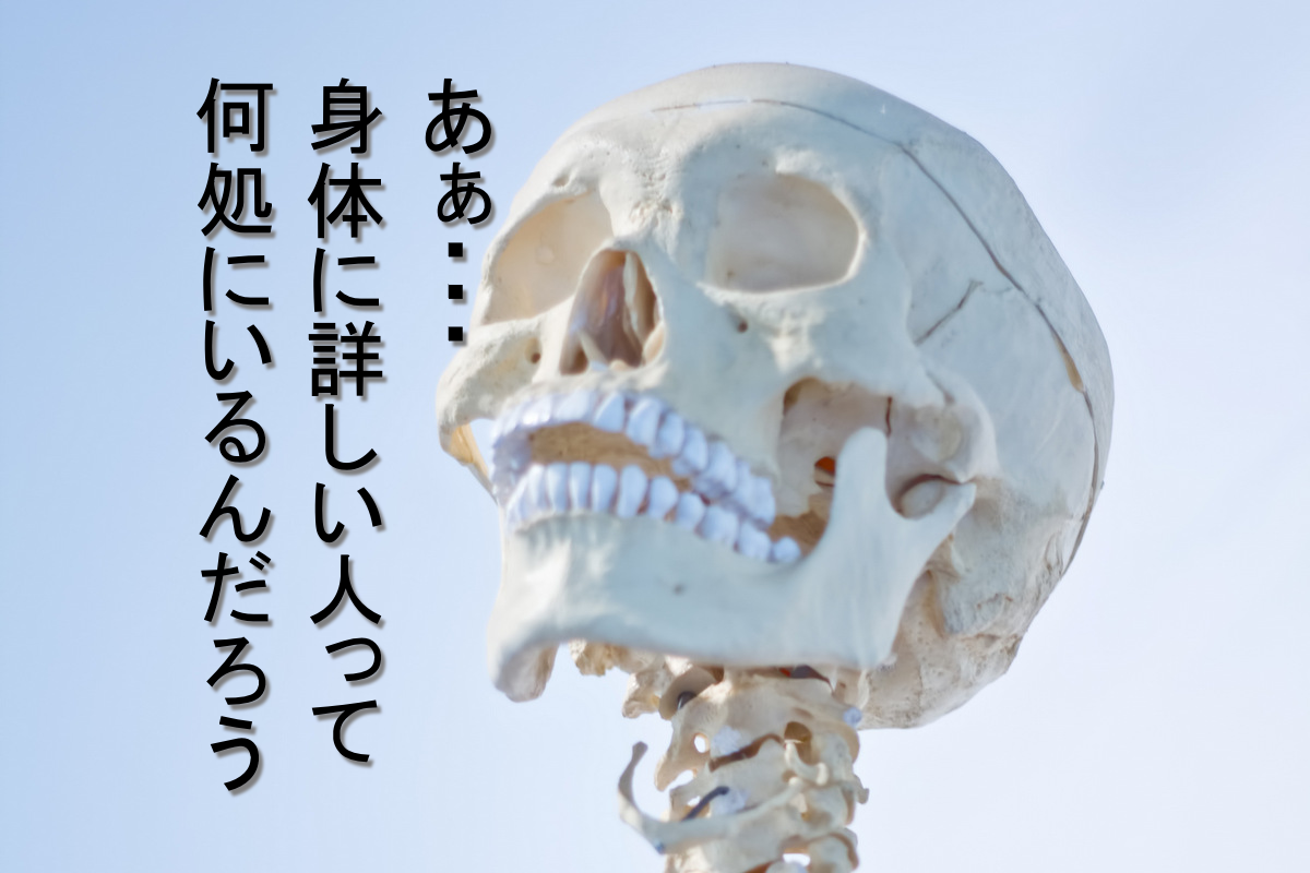 画像をアップロード