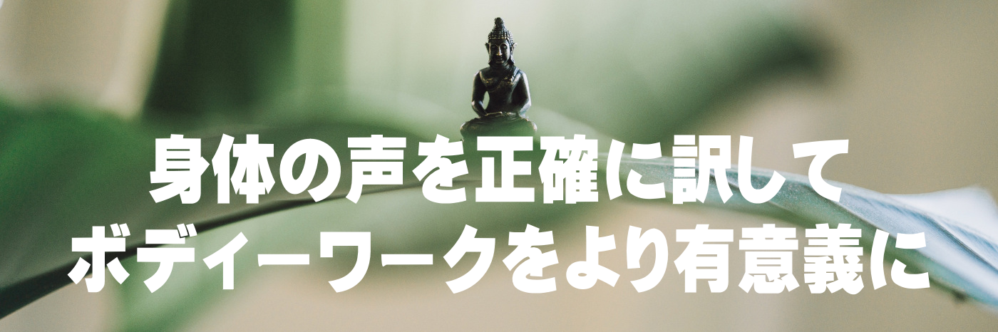 身体の声を正確に訳してボディーワークをより有意義にする為のオンライン整体スクール