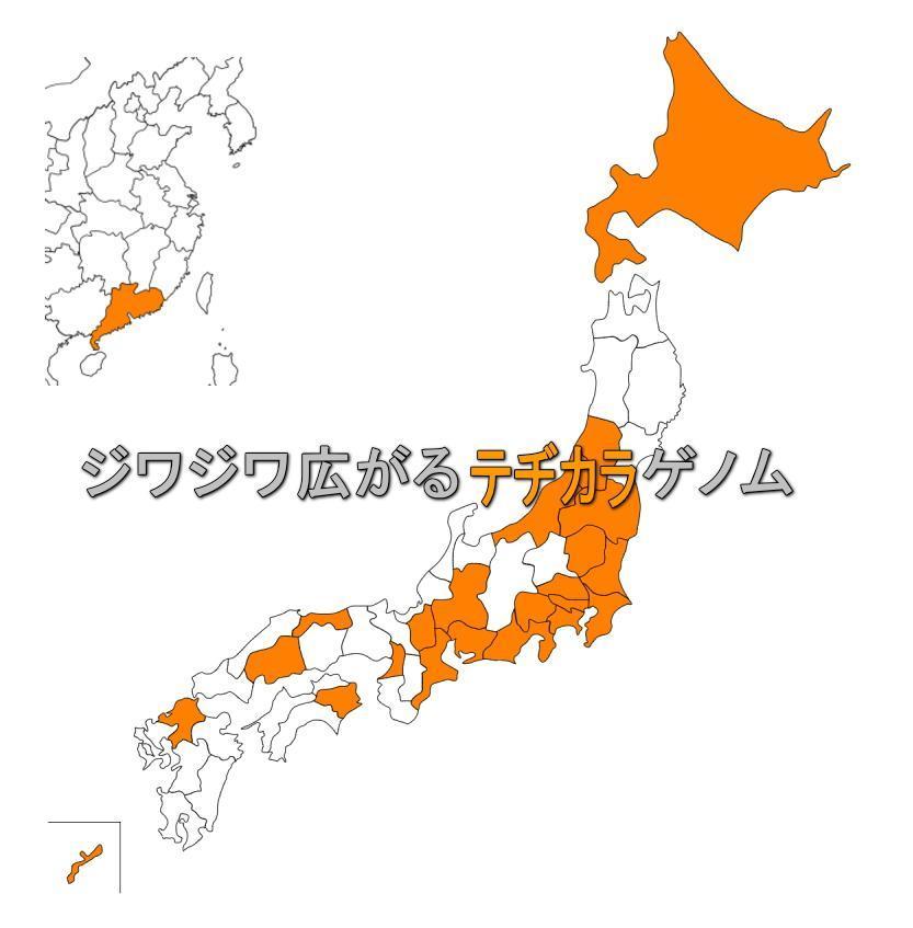 手力整体塾の卒業生は全国・海外へも!