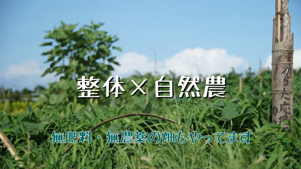 整体×自然農。当たり前に循環する「自然農」のような整体を