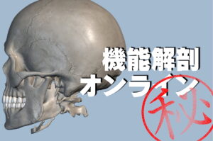 機能解剖と物理のオンライン講座