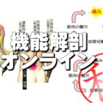 痛みとはなにか【機能解剖オンライン】