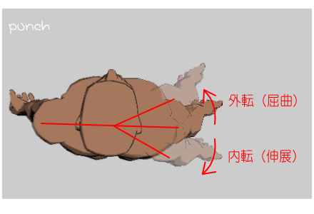 肩甲胸郭関節の外転・内転