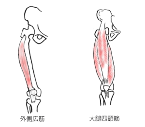 外側広筋