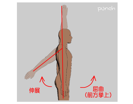 肩関節屈曲・伸展の可動域