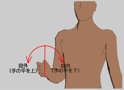 橈尺関節のROM