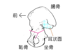 寛骨