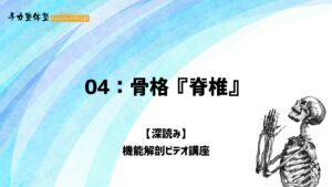 深読み機能解剖ビデオ講座